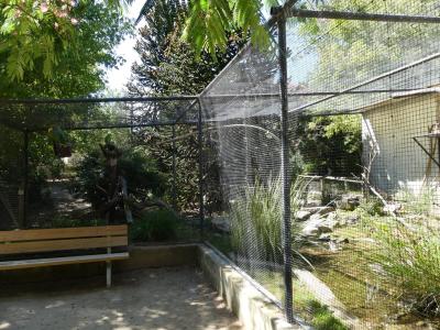 Volières des Amazones - 2020