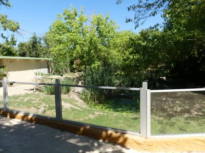 Porc-épic à crète - 2020