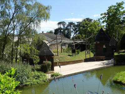 Atèle noir de Colombie - 2020