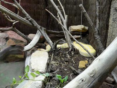 Python molure - 2020