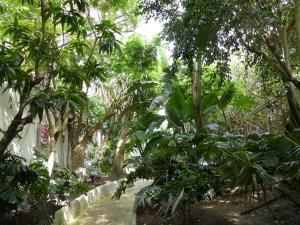 Serre tropicale