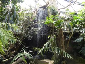 Serre tropicale