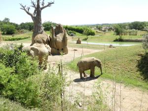 Eléphant d'Afrique
