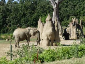 Eléphant d'Afrique