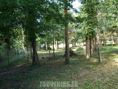 Elan du Canada - 2010