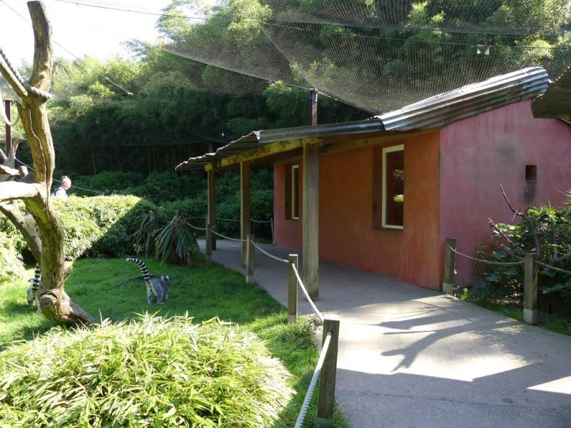 Espace "Lémuriens"