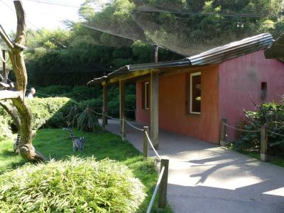 Espace "Lémuriens" - 2019