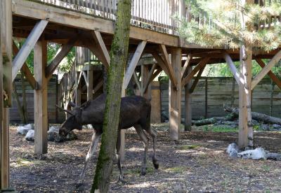 Elan d'Europe - 2022