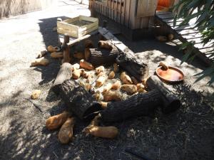 Petite ferme