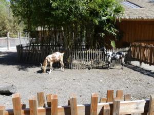 Petite ferme