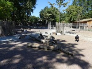 Petite ferme