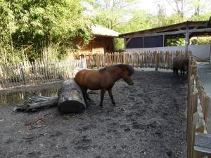 Petite ferme