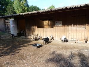 Petite ferme