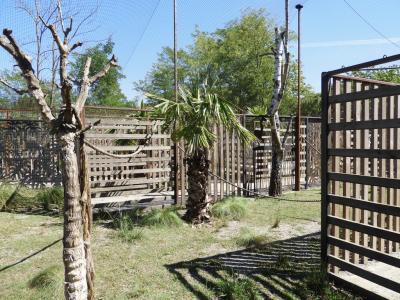 Labyrinthe des lémuriens - 2022