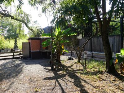 Tortue des Seychelles - Ara chloroptère - 2022