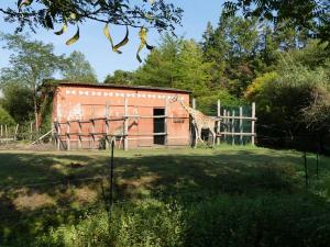 Girafe