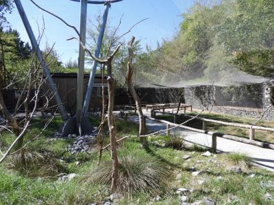 Loriquet arc-en-ciel - 2022