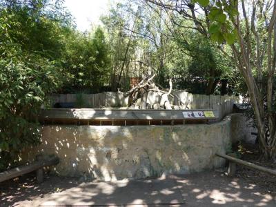 Mangouste jaune - Porc-épic à crête - 2022