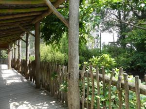 Grue à cou blanc - Milan de Brahme