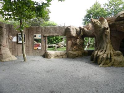 Panthère noire - 2022