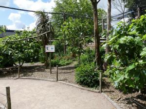 Volière australienne