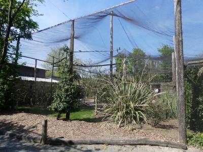 Volière australienne - 2022