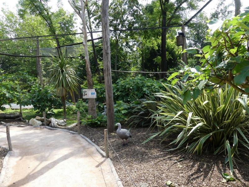 Volière australienne