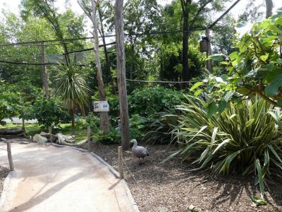 Volière australienne - 2022