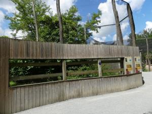 Pirolle à bec rouge - Grue à cou noir