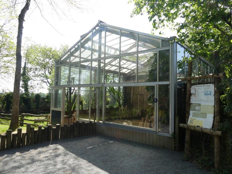 Tortue géante des Galapagos