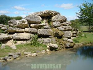 Mouflon à manchettes