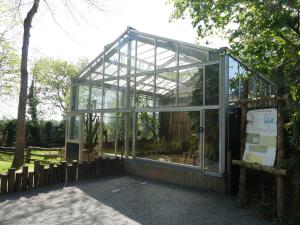 Tortue géante des Galapagos