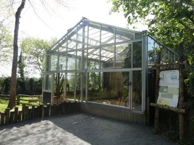 Tortue géante des Galapagos - 2022