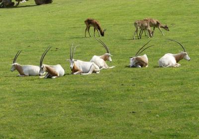 Matumi réserve - 2022