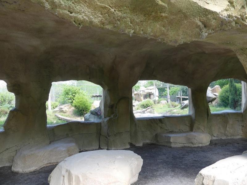 Panthère des neiges