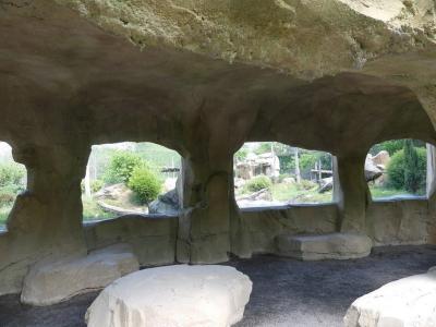 Panthère des neiges - 2022