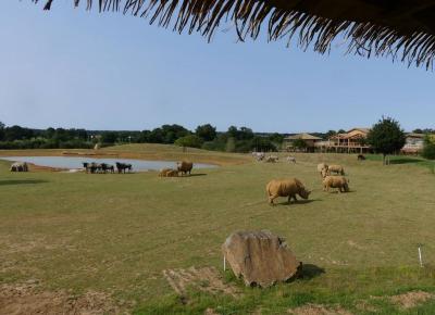 Plaine africaine - 2022