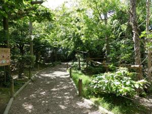 Saïmiri à tête noire