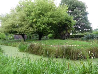 Saïmiri du Pérou - 2023