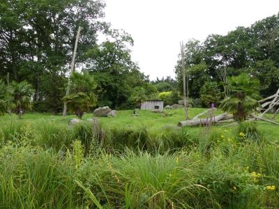 Colobe guéréza - Cercopithèque diane - 2023