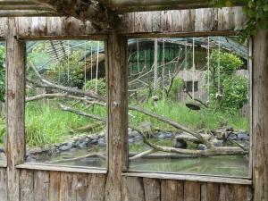 Espace : Loutre à pelage lisse - Gibbon lar