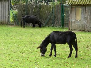 Petite ferme