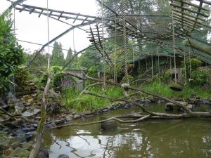 Espace : Loutre à pelage lisse - Gibbon lar