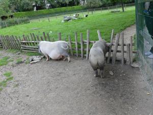 Petite ferme