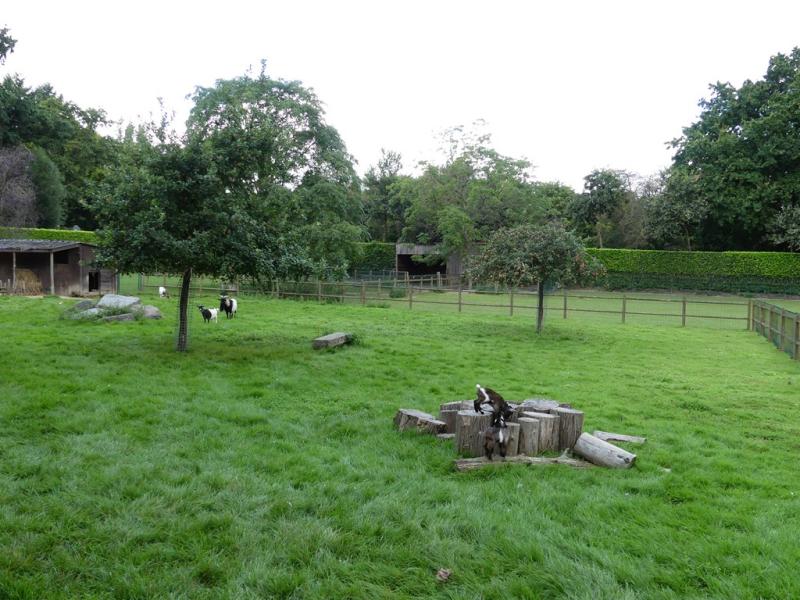 Petite ferme