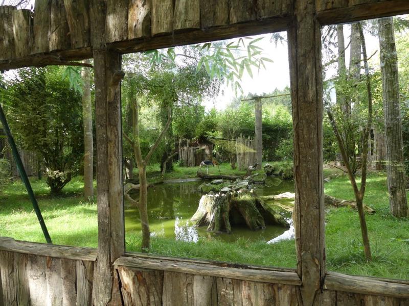 Espace : Volière africaine