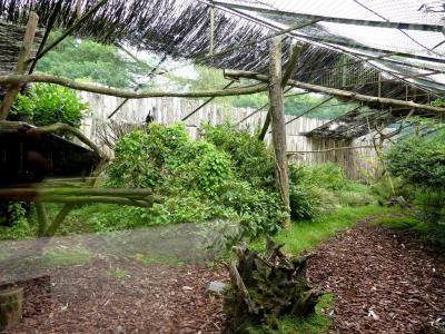 Vison d'Europe - 2023