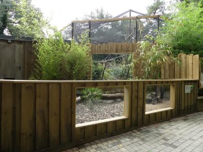 Tatou à 6 bandes - 2021