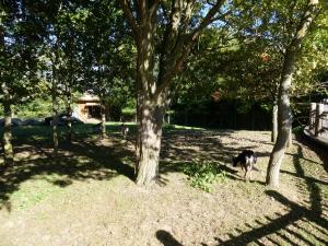 Petite ferme