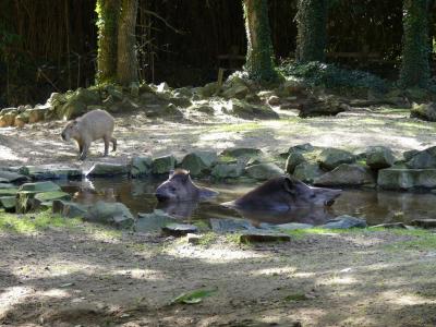 Pampa argentine - 2021